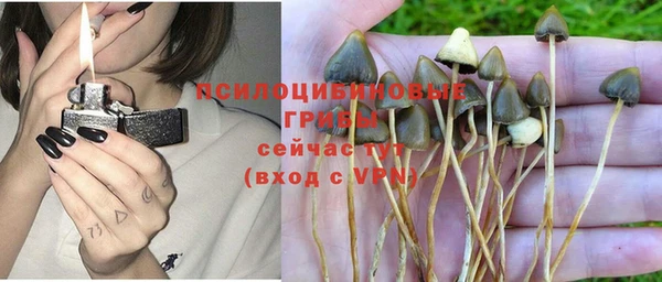 хмурый Михайлов