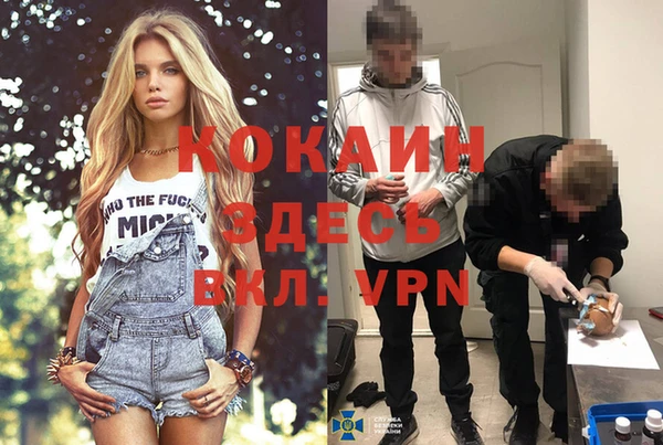 хмурый Михайлов
