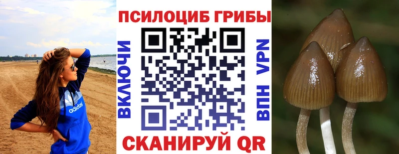 Псилоцибиновые грибы прущие грибы  что такое   Удачный 