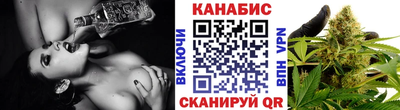 как найти наркотики  Удачный  Канабис SATIVA & INDICA 